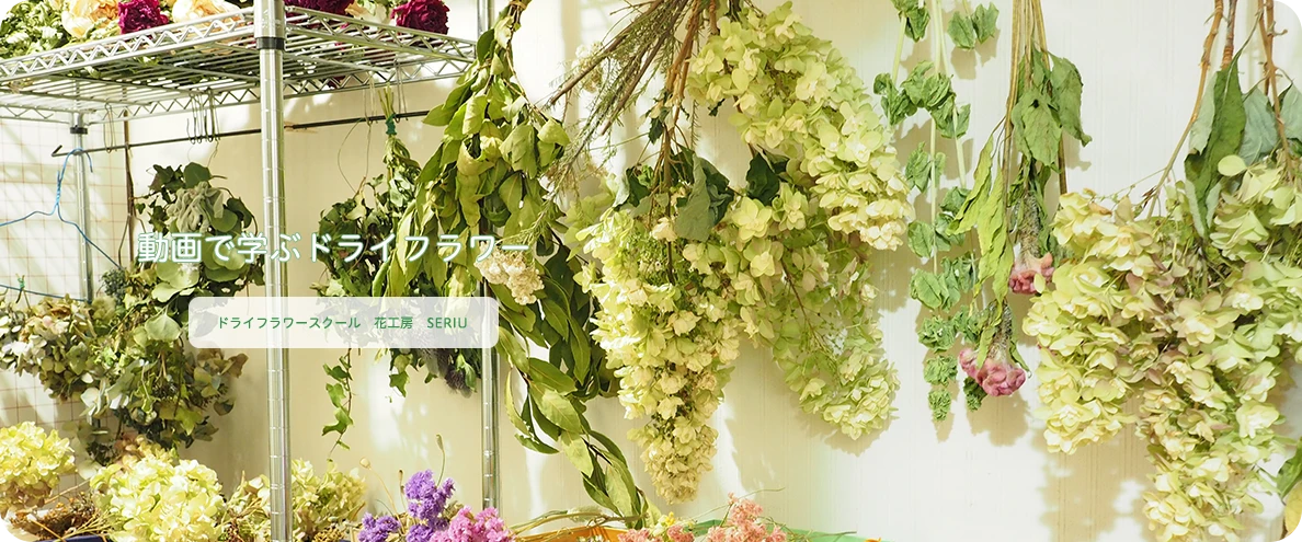 動画で学ぶドライフラワー