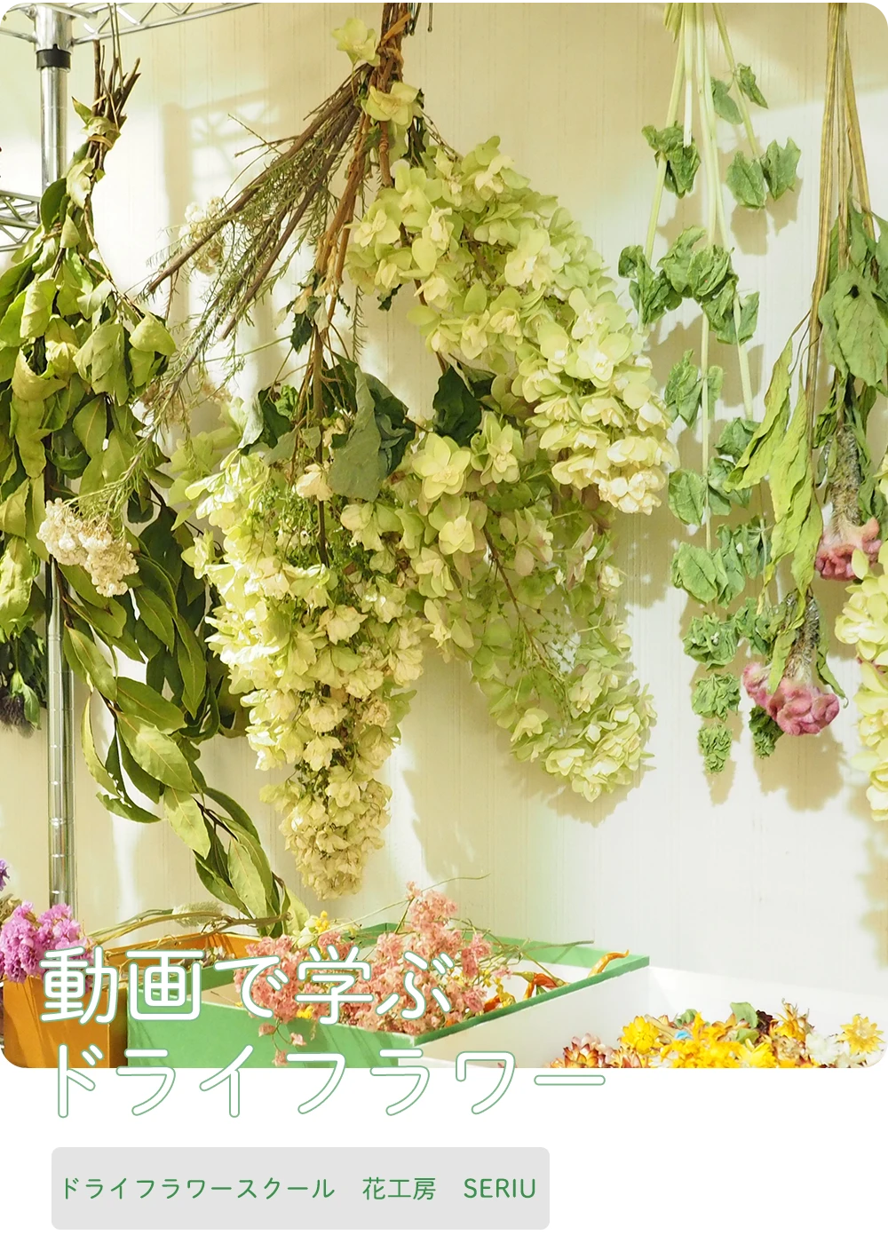 動画で学ぶドライフラワー